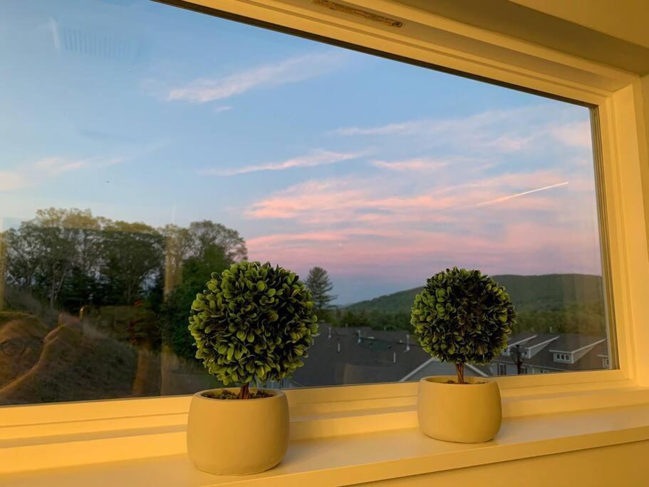 Newly Built Townhome Close To The Asheville Sites Candler Eksteriør billede